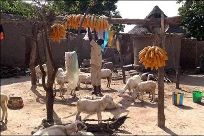 Ce film parle des clandestins qui ont tout quitt pour venir chez nous, qui regrettent presque d'tre l, et de ceux qui sont prts l-bas, en Afrique,  suivre leur exemple et  risquer leur vie.