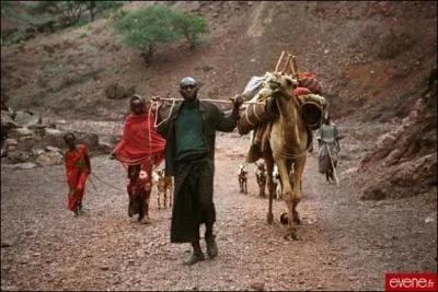 Dans ce film de Marion Hansel, la scheresse, le dsert, la pauvret, la guerre civile menacent un village peul et poussent  l'exode.