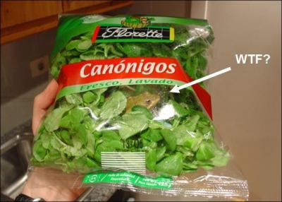 Cette salade contient quelque chose de trs particulier !
