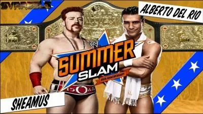 Qui a gagn le match pour la ceinture poids lourds ?