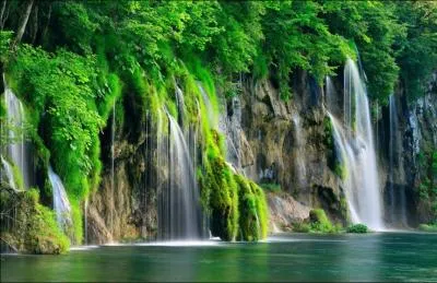 C'est dans le Parc national de Plitvice, en Croatie, que vous le verrez dambuler !