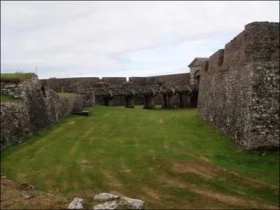 Par contre, aux alentours de ce vieux chteau, comme partout en Irlande, vous n'avez aucune chance de trouver ...