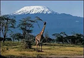 De quelle chaîne de montagne fait partie le célèbre Kilimandjaro, point culminant de l'Afrique ?