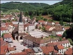 Connu(e) pour son andouille, je vous emmne au Val-d'Ajol, o les habitants se nomment les ...