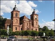 Surnomme  la capitale mondiale de la gographie , voici la ville de Saint-Di-des-Vosges. Quel est le nom des habitants de cette ville ?