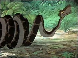 Quelle est la race de Kaa dans  Le livre de la jungle  ?