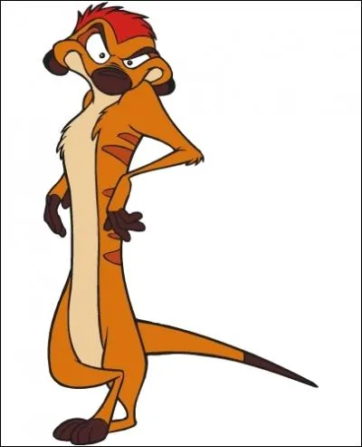 Quelle est la race de Timon dans  Le roi lion  ?