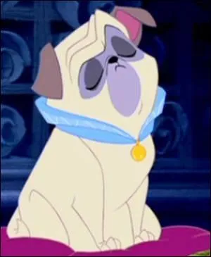 Quelle est la race de Percy dans  Pocahontas  ?