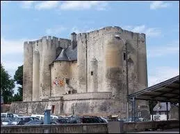 Partons  Niort, o les habitants se nomment ...