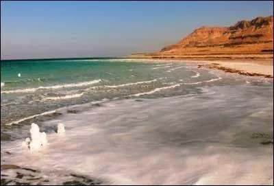 Que peut-on trouver dans la mer morte ?