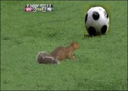 Quelle équipe nationale de football se fait appeler  Les écureuils  ?