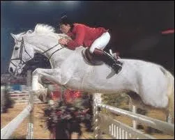 Comment s'appelle ce cheval, adversaire du cheval de la question 1 ?