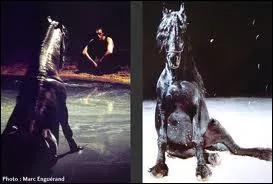 Quelle est la race et le nom de ce cheval qui avait appartenu  Bartabas et qui est mort ?