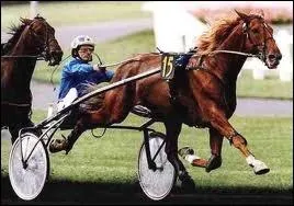 Comment s'appelle ce cheval surnomm  Le Roi fainant  ?