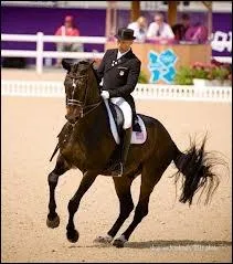 Quelle est la bonne fiche d'identit de Ravel ?