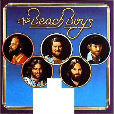 Quel nom porte cet album des Beach Boys ?