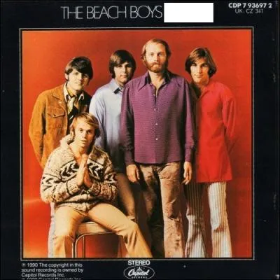 Quel nom porte cet album des Beach Boys ?
