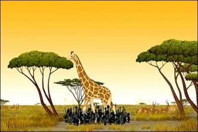 De quel long mtrage de Michel Ocelot cette photo est-elle tire ?