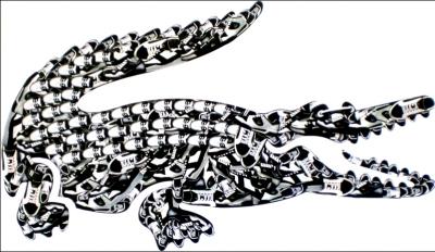 Quelle est cette marque ?