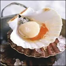 C'est une coquille ... ?