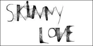 Qui chante  Skinny love  ?