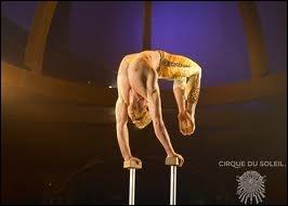 Comment s'appelle l'appareil utilisé par les acrobates qui pratiquent l'équilibre ?