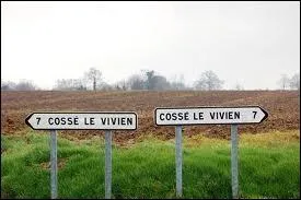Pour aller  Cosse-le-Vivien je peux...