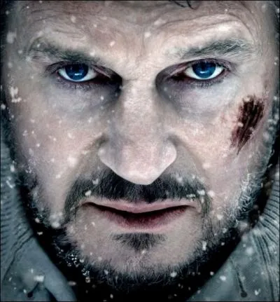  Le Territoire des loups  : un titre franais basique... En anglais, le titre dsigne la couleur du pelage des animaux auxquels se heurte le hros, mais aussi l'existence terne de celui-ci. C'est :