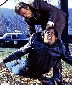 Clint Eastwood joue dans  Un Shrif  New York , un film de Don Siegel, dont le titre amricain, plus parlant, mentionne directement le nom de famille du hros. Il s'agit de :