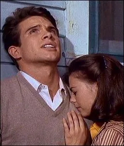  Splendor in the grass  est le titre original de ce film ralis par Elia Kazan avec Natalie Wood et Warren Beatty... Quel en est le titre franais ?