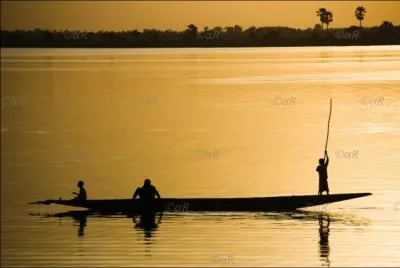 Quel pays le fleuve Niger n'arrose-t-il PAS ?