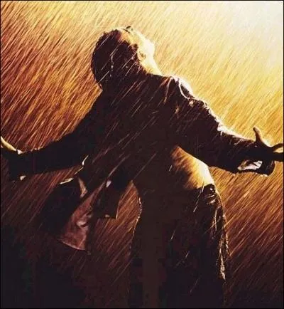 Et enfin, le meilleur pour la fin. Quel film, intitul en VO  The Shawshank Redemption  (La rdemption de Shawshank), a russi l'exploit de spoiler honteusement la fin du film dans le titre franais ?