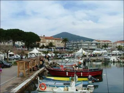 Situe entre Toulon et Hyres quelle est cette ville  laquelle appartient le Fort de la Bayarde ?