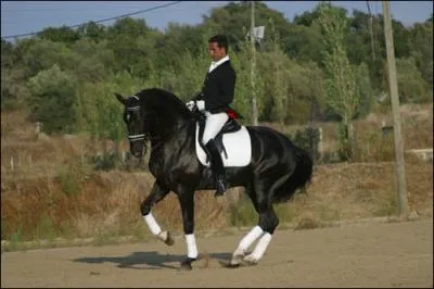 La demi-volte est ...