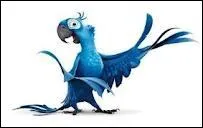 Comment s'appelle cet oiseau ?