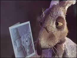 Comment s'appelle cette lapine ?