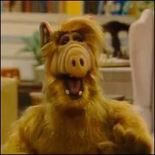 De quelle plante provient cet alien  l'humour dvastateur, mais mangeur de chats, prnomm Alf ?