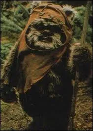 De quelle plante provient cet alien petit et poilu, l'ewok ?