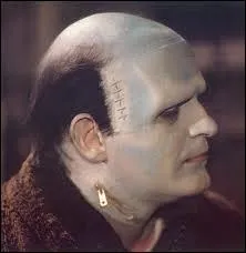C'est la crature du Docteur Frankenstein, qu'interprte Peter Boyle dans le film brillant et dsopilant de Mel Brooks titr ?