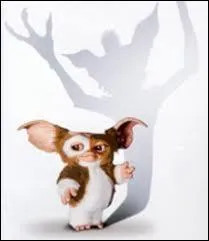 En arrire-plan sur l'illustration, c'est la silhouette du terrible Gremlin, crature mchante comme la gale, et dvastatrice. Mais en 1er plan, avant d'tre mouill et nourri (= Gremlin), elle est ?