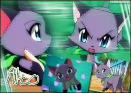 En quoi peut-il se transformer ?