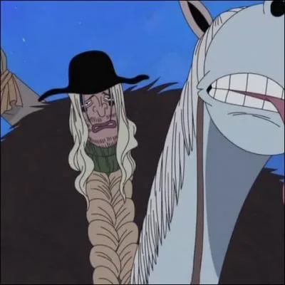 Qui est-ce ?  Equipage de Barbe-Noire 