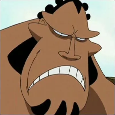 Qui est-ce ?  Equipage de Barbe-Blanche 