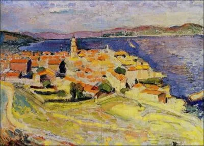 Qui a peint Vue de Saint Tropez ?