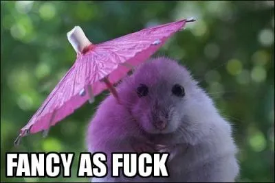 Trs utile pour protger les dames du soleil, qui inventa l'ombrelle ?