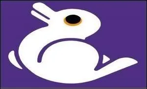 Que pouvez-vous voir ?