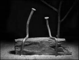 D'ordinaire, on me frappe dessus. Mais dans un spectacle, je suis la vedette.