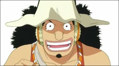 Qui est-ce ?  Equipage au chapeau de paille 