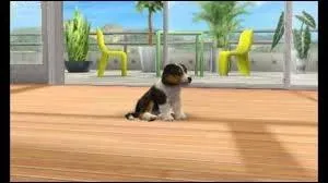 Comment s'appelle le jeu le plus connu qui consiste  lever des jeunes chiots ?