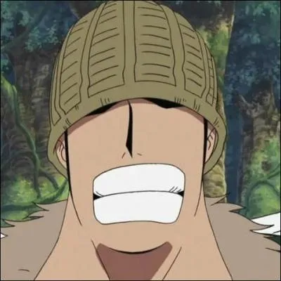 Qui est-ce ? > Guerriers De Skipiea 